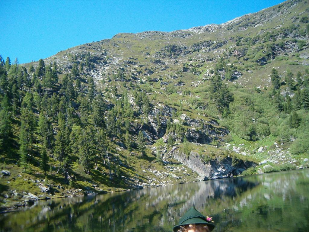 Privatpension Herta Sankt Georgen ob Murau Luaran gambar